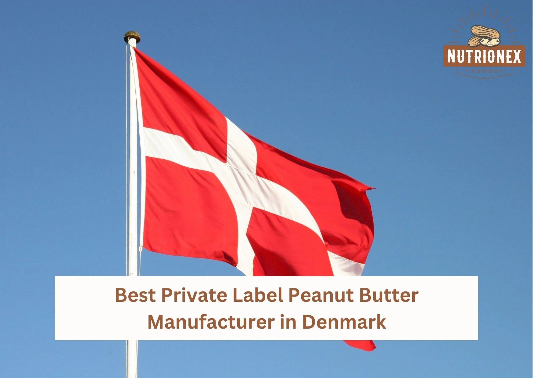 Best Private Label Peanut Butter Manufacturer in Denmark