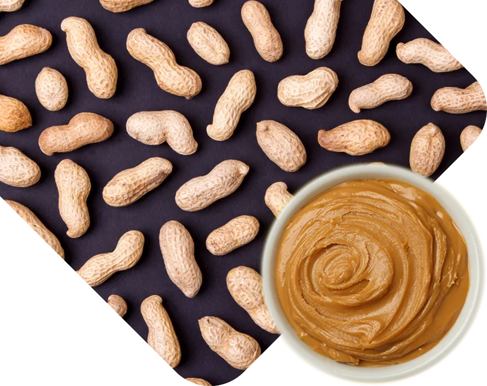 From Farm to Jar: The Journey of Private Label Peanut Butter