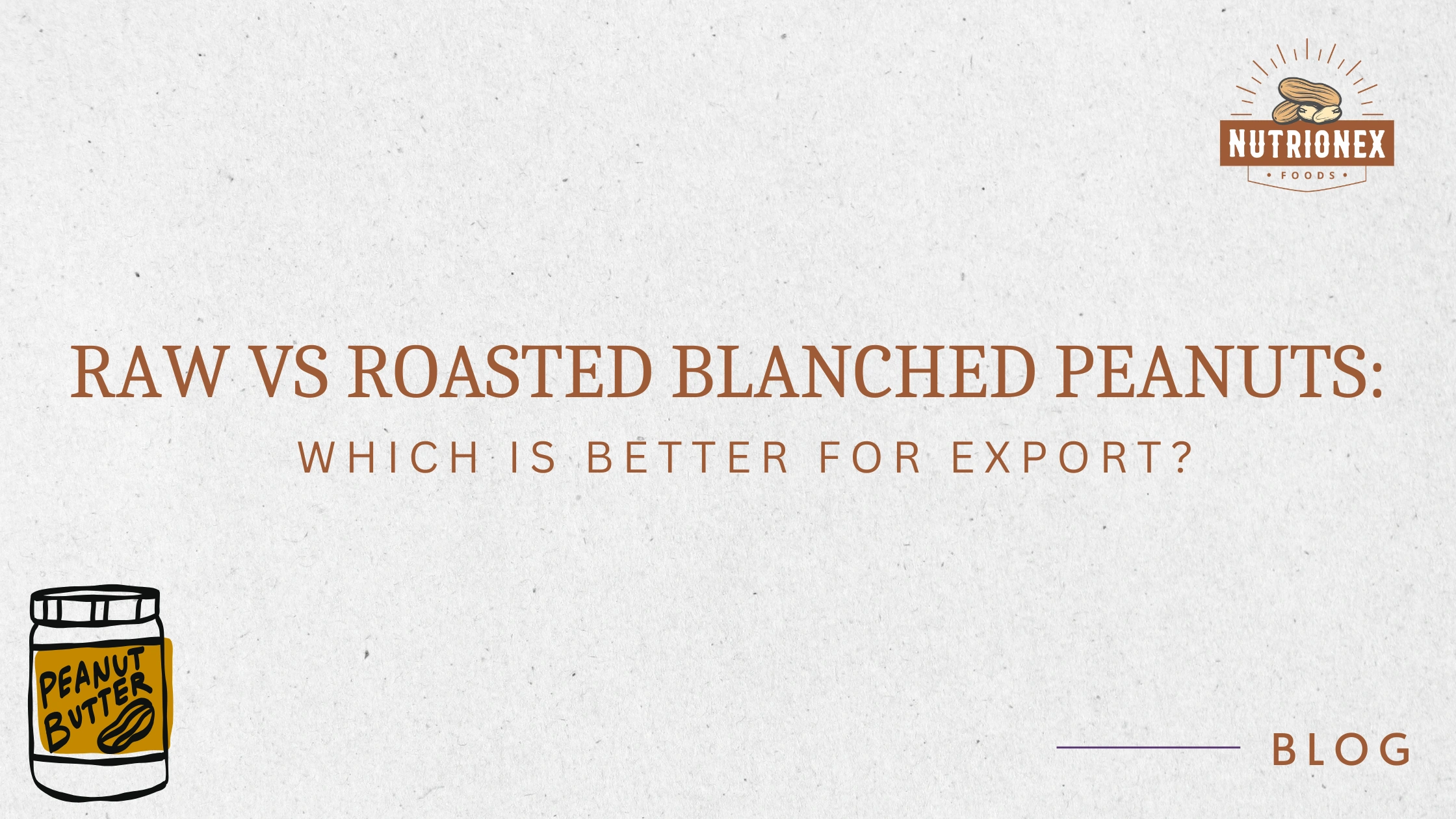 Raw Vs Roasted Blanched Peanuts: Which Is Better For Export?