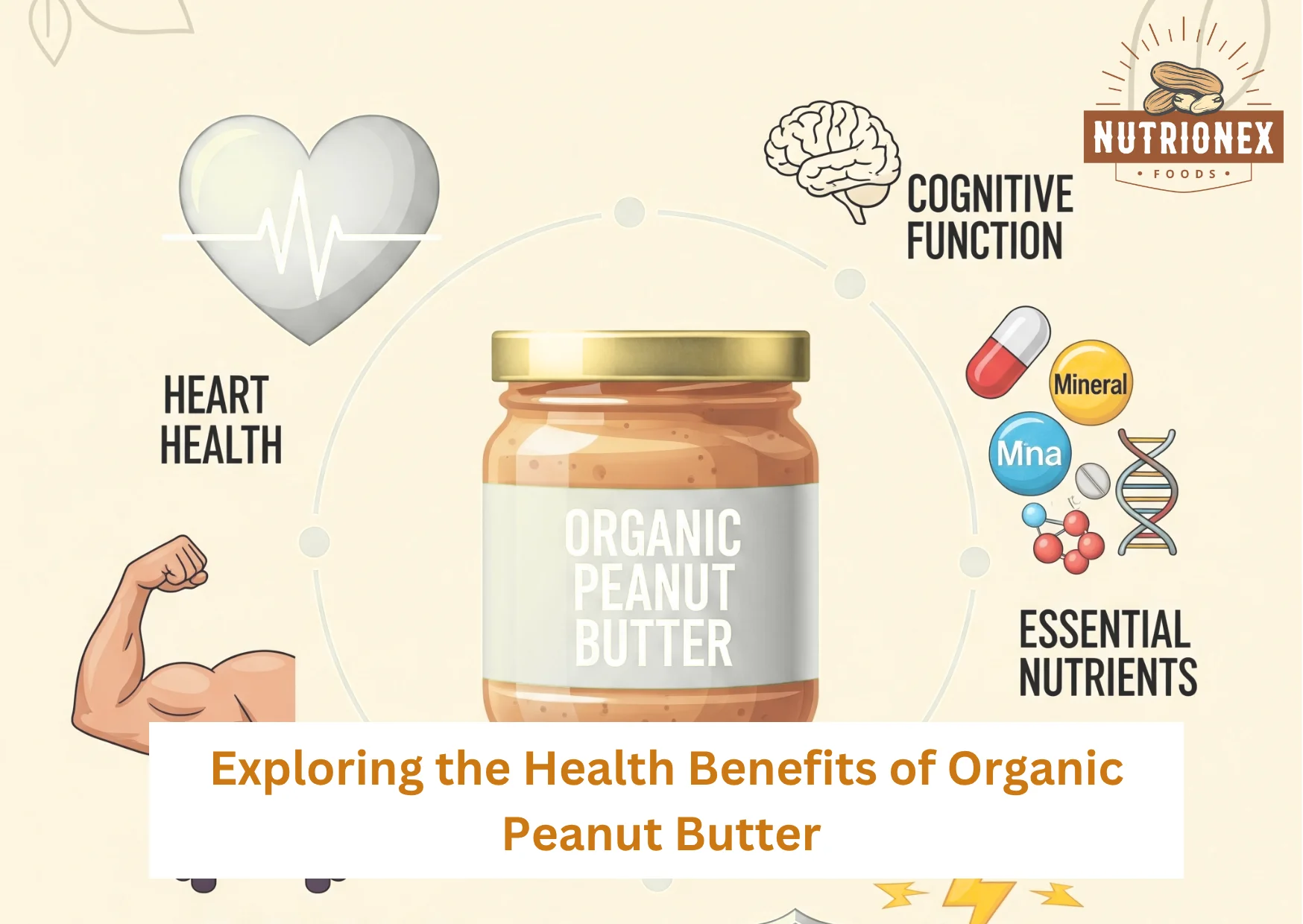 Exploring The Health Benefits Of Organic Peanut Butter